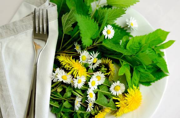 Essbare Kräuter herbs g5f3469bd9 1920